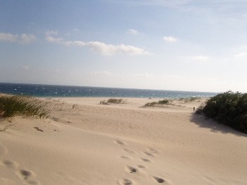 tarifa-maerz09-14-2.jpg